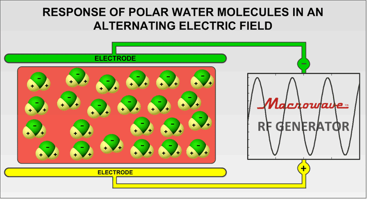 Radio Frequency Company: Response of Polar Water Molecules in an Alternating Electric Field